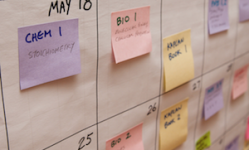 Organiza tu tiempo de estudio y aprueba tus oposiciones