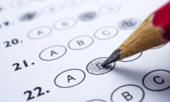 Plantilla examen Administrativo Estado 2024