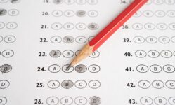 Plantilla examen Auxiliar Administrativo Estado 2024